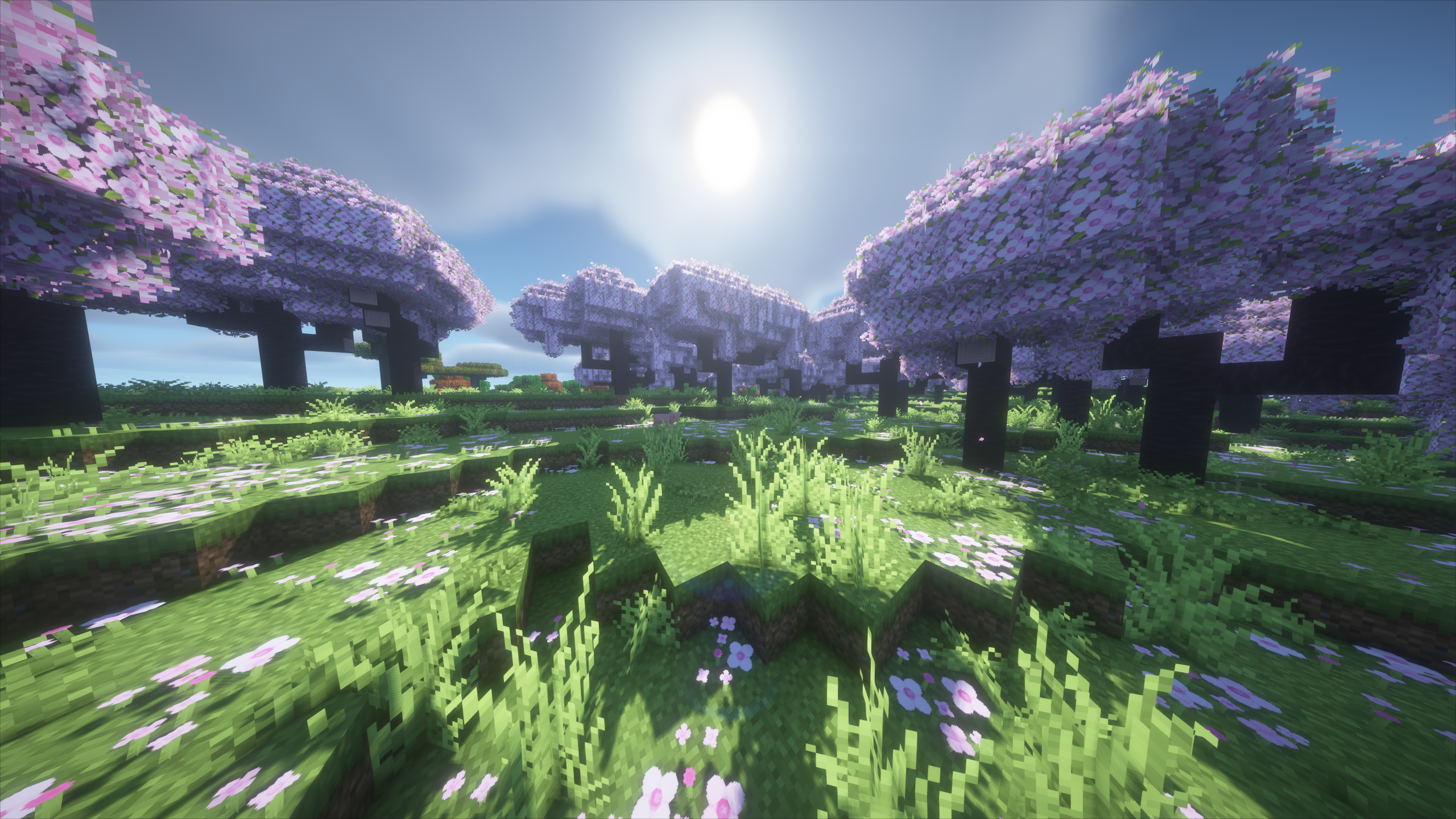 Rat Race SMP Background